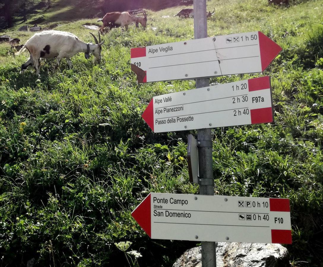 Voglia Di Veglia Hotel Varzo Luaran gambar
